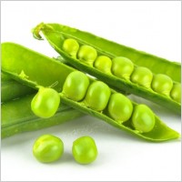 peas_01_hd_picture_165778